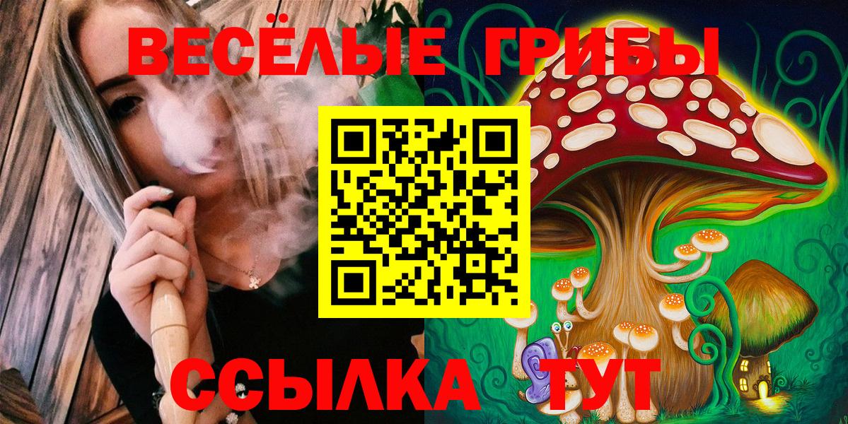 Муром  Галлюциногенные грибы мицелий  Вход с VPN 